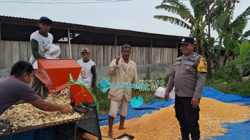 Dukung Ketapang, Bhabinkamtibmas Polsek Siantar Marihat Hadir Bersama Petani Binaaan